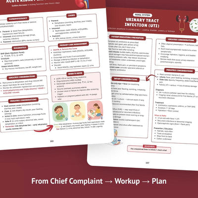 The Essential Family Nurse Practitioner Guide