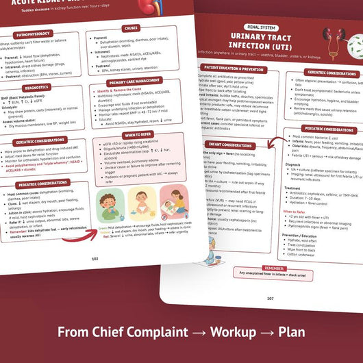 The Essential Family Nurse Practitioner Guide