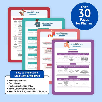 The Essential Family Nurse Practitioner Guide